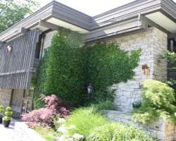 The garden also has a horticultural library. The v The garden also has a horticultural library. The visitors can find books relating to landscape design, plant species, flower arrangement, urban agricu